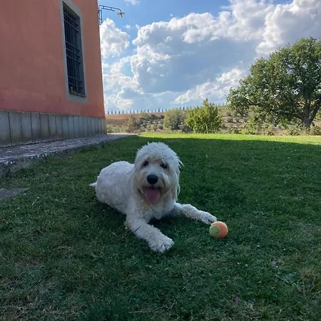 Augusta Private Pool Βίλα San Venanzo